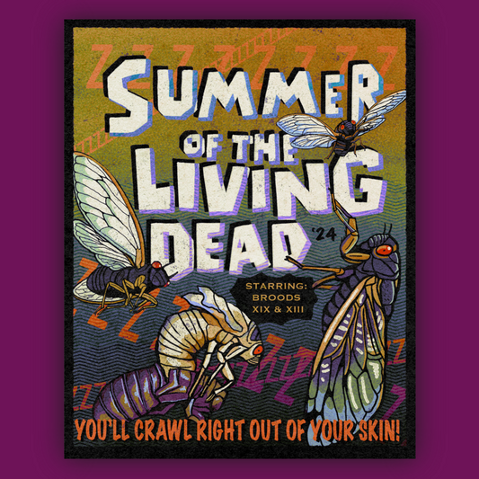 Summer of the Living Dead!